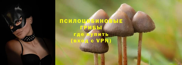 кокс Богородск