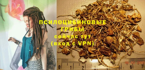 мескалин Богородицк